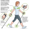 Kijki do nordic walking – Czerwone kije trekkingowe